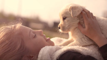 Girl With Golden Retriever Puppy