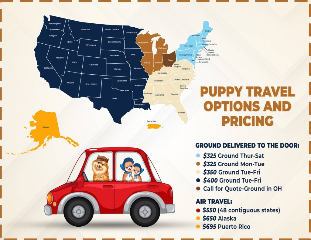 How To Travel Golden Retreiver Puppies