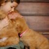 Image of Daisy, a Golden Retriever puppy