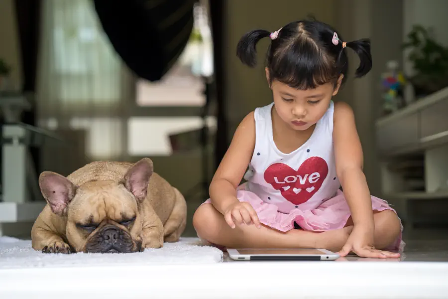 Best Dogs for Kids in Apartments Photo