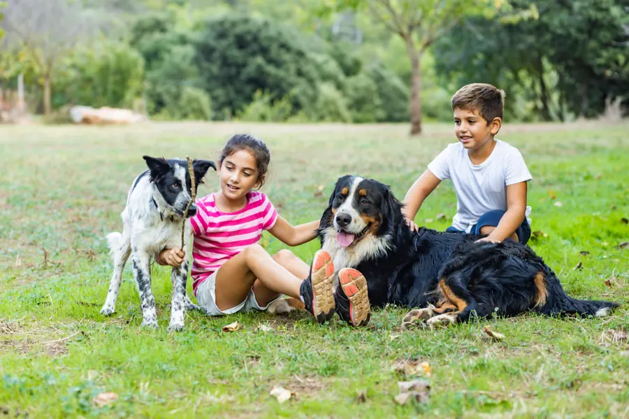 Best Dogs for Kids