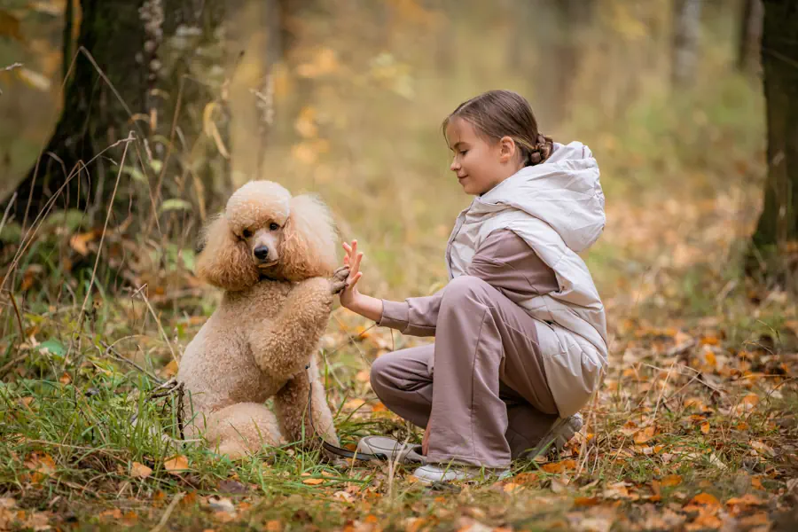 Best Hypoallergenic Dogs for Kids Photo
