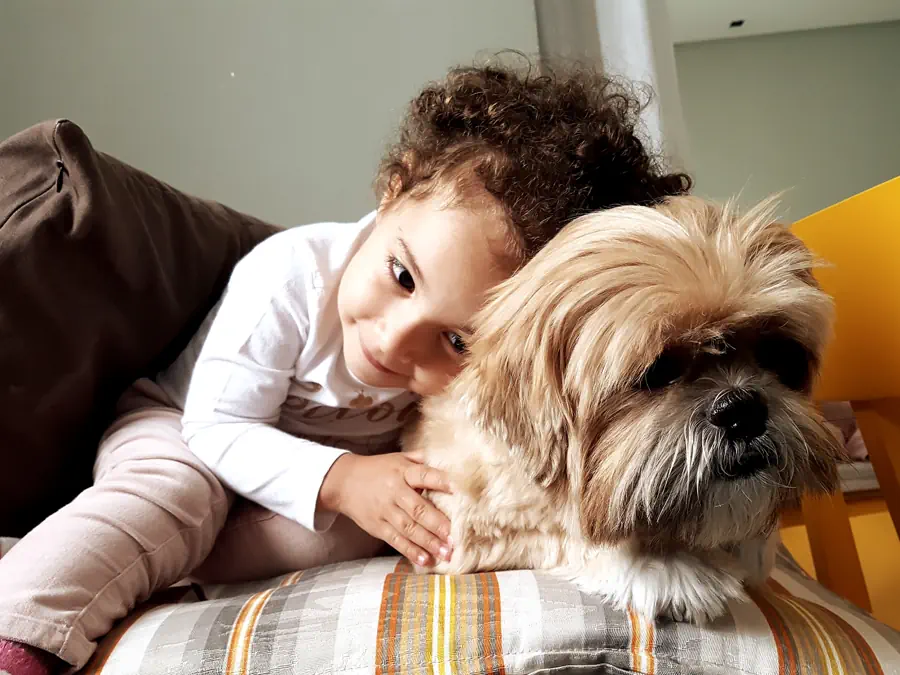 Best Non-Shedding Dogs for Kids Photo
