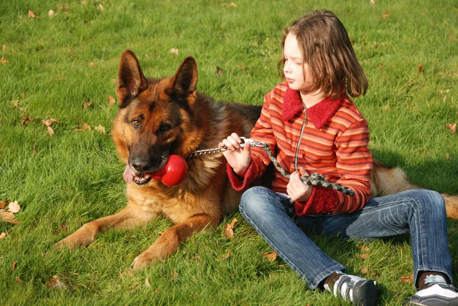 Best Protective and Guard Dogs for Kids Photo