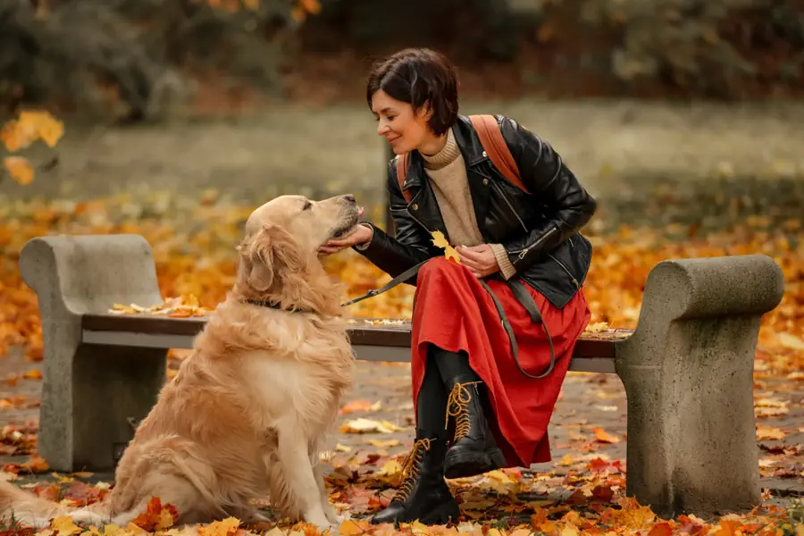 Best Trainable Breed for Therapy or Service Work