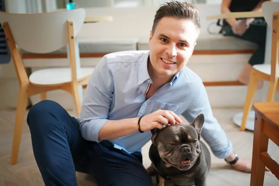 Best dogs for first-time owners who work full time