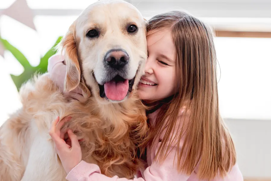 Best dogs for first time owners