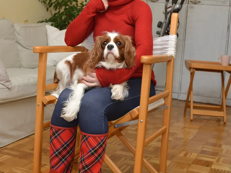 Best first dogs for apartment living 