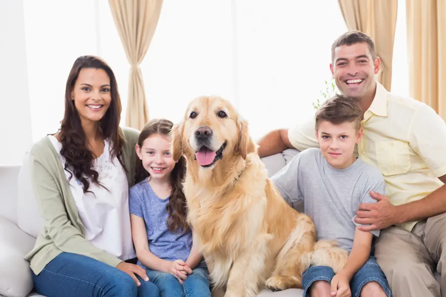 Best first dogs for family with children