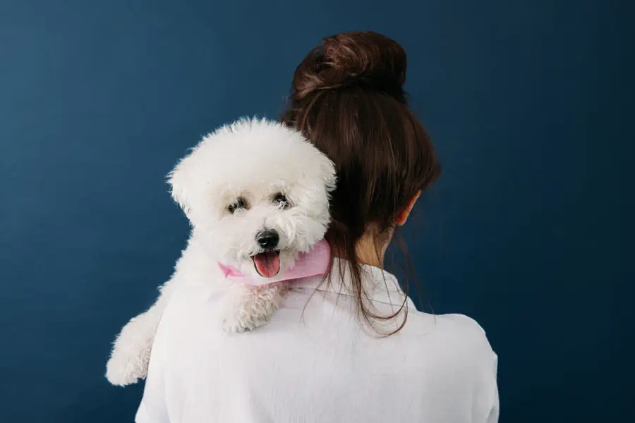 Best hypoallergenic first dogs 