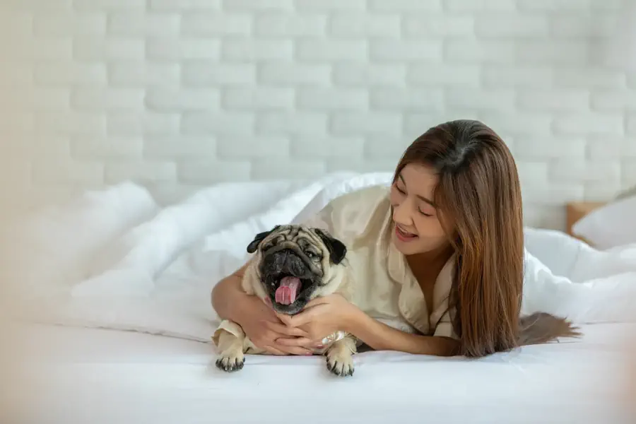 Dog breeds for apartment living