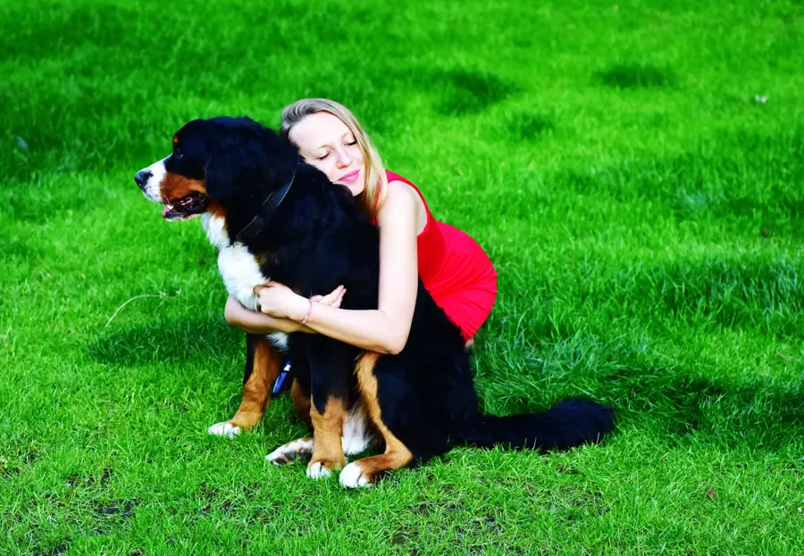 Dog breeds for emotional support or PTSD