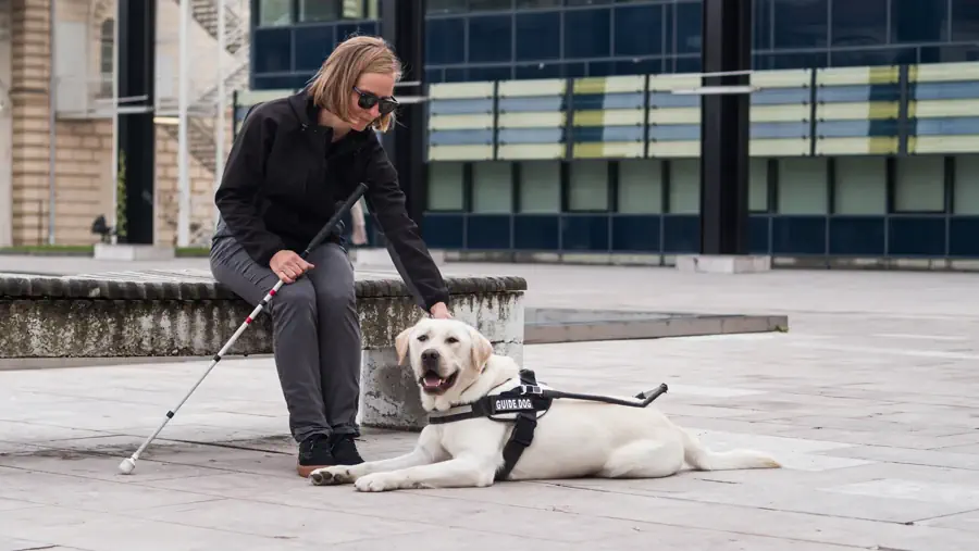 Dog breeds for people with mobility challenges