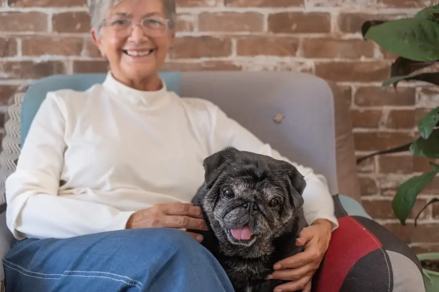 Dog breeds for seniors or retirees