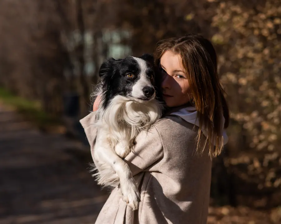 Dogs That Are Trainable and Active Enough for Outdoor Lifestyles