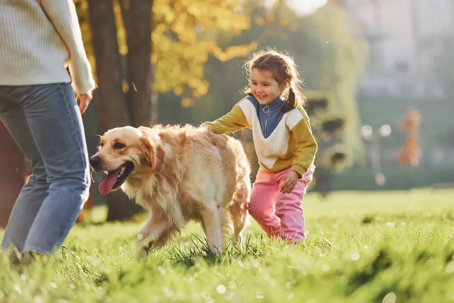 Easiest Dog Breed to Train for Families with Kids