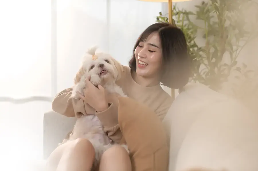 Friendliest dog breed for first time owners