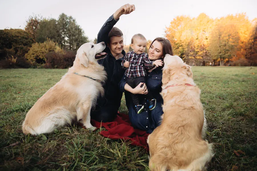 Perfect dog for first time owners