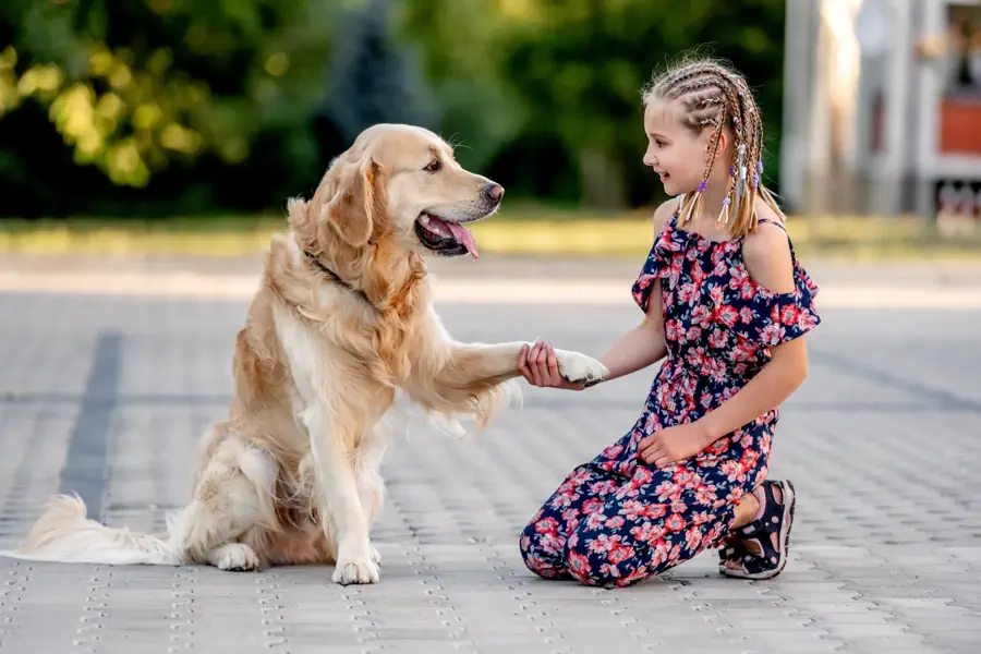 Right dog breed for children
